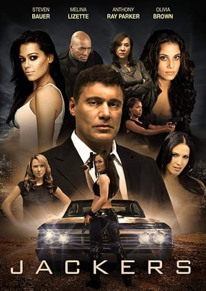 Jackers 2010 Dual Audio Hindi Movie - 800MB HD Poster Download - filmyfly