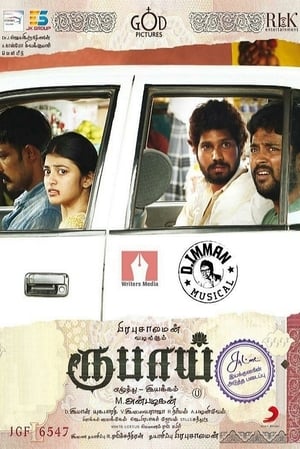 Rubaai (2017) Hindi Dual Audio 400MB HD Poster Download - filmyfly